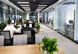 广东气管球囊生产厂家