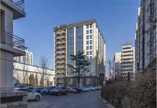 济南绿化工程用生石灰一吨多少钱