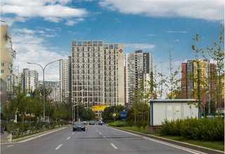 山东BD Pharmingen抗体代理