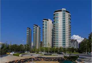 河北附近哪里有狗粮零食营养品网上价格